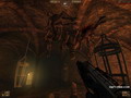 images/random/painkillerfun2_resize.jpg