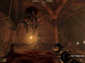 images/random/painkillerfun3_resize.jpg
