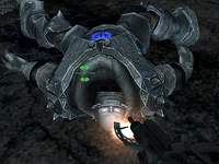 Random image